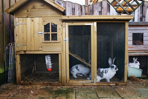 Gastouder Sylvia Hompert